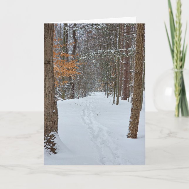 Sympati Snöspår i en vinter skog  Kort (Framsida)