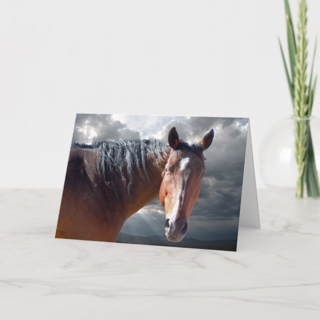 Sympati Support & Comfort - Horse Lover Kort (Framsida)
