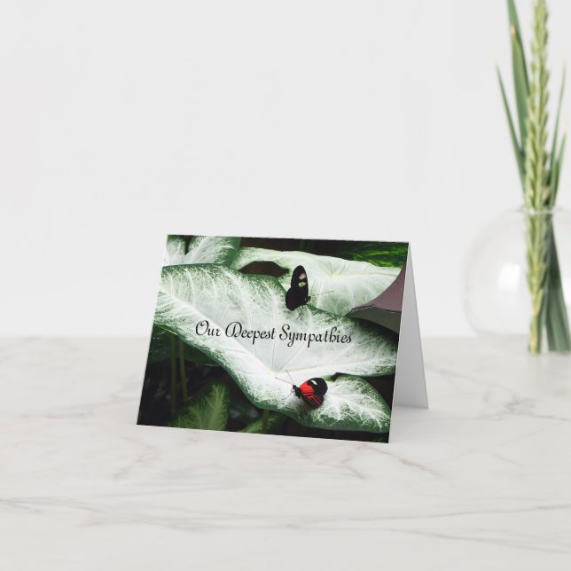 Sympati - svart Butterfles - Caladium Kort (Framsida)