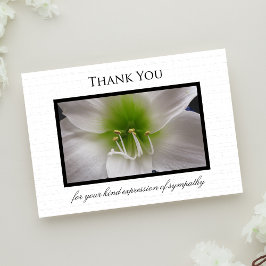 Sympati Tack Flat Card - Amaryllis