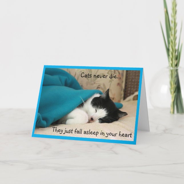 Sympati vid sömnsvarv och vit katt kort (Framsida)