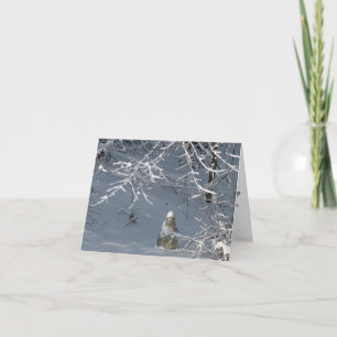 Sympati - vinter Madonna Kort