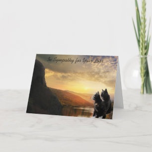 Sympatidöd av den älsklings- katten kort