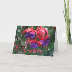 SympatiFuschia Kort