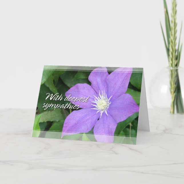 Sympatikort för purpurfärgad Clematis Kort (Framsida)
