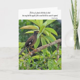 Sympatikort - förlust av en vän kort