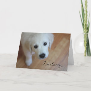 Sympatikort, I-förmiddag som är ledsen för… Tack Kort