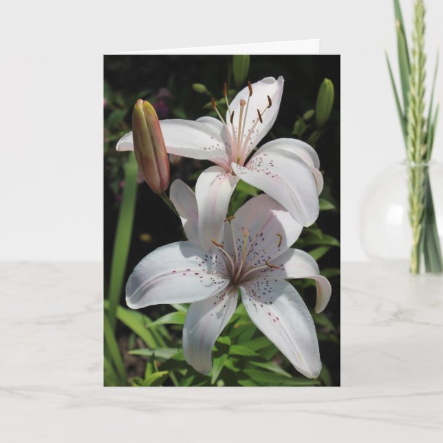 Sympatikort Kort (Framsida)