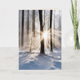 Sympatiska solstrålar i vinter skog kort
