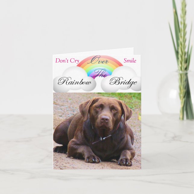 Sympatiskort för Hund j/labdor-hämtare älskare Kort (Framsida)