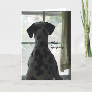 Sympatiskort - förlust av Hund Kort