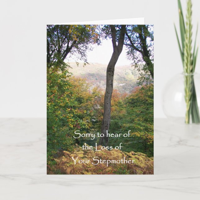 Sympatiskort, förlust av styvmor kort (Framsida)