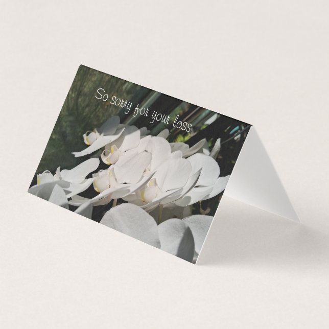 Sympatiskort med vit moth Orchids Kort (Framsida)