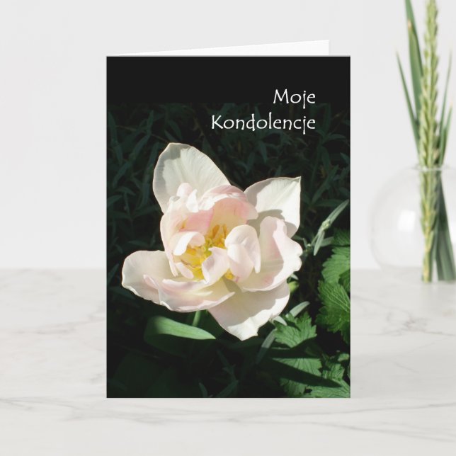 Sympatiskort "Tulip" - Polska Hälsning Kort (Framsida)