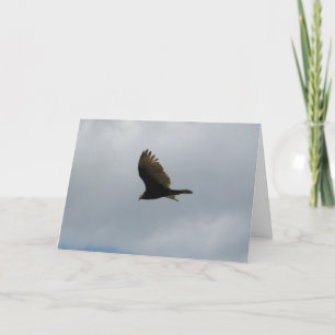 Sympatiskortet "Spirit Backe Eagle" #2 Kort