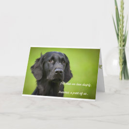 Sympatiskortsfunktioner Fllatrock Retriever Kort