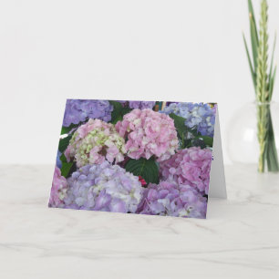 Sympativanlig hortensia kort