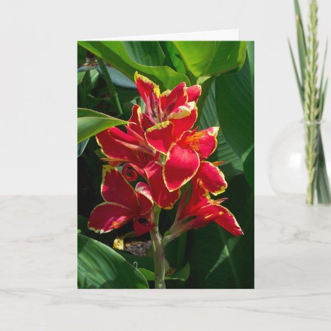 Sympatkort för blommigt kort (Framsida)