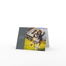 Sympatkort för hund och regnbåge