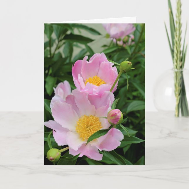 Sympatkort Kort (Framsida)