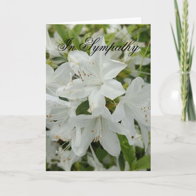 Sympatkort med vita azaleor kort (Framsida)