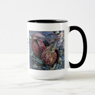 Symplocarpusfoetidus, skunk-kål mugg