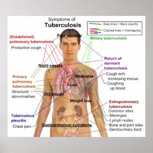 Symptom Diagram över tuberkulos hos människor Poster