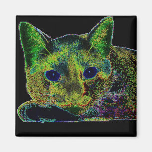 Synad katt för neon blått magnet