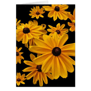 Synade Susan för blommigten förbigår svarten Hälsningskort