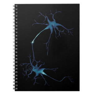Synapse mellan Neurons, Neuroscience Neuron Anteckningsbok