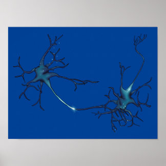Synapse mellan Neurons, Neuroscience Neuron Poster