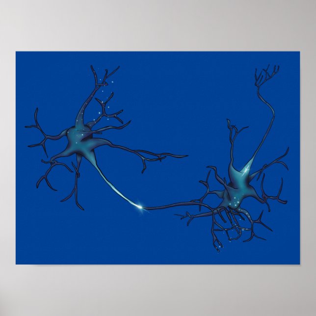 Synapse mellan Neurons, Neuroscience Neuron Poster (Framsidan)