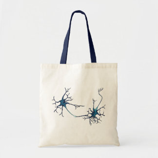 Synapse mellan Neurons, Neuroscience Neuron Tygkasse