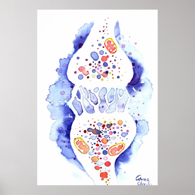 Synapsen och nervimpulsen poster (Framsidan)