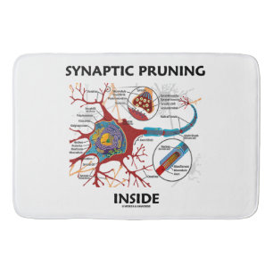 Synaptic beskära inre NeuronSynapseNeurology Badrumsmatta