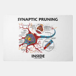 Synaptic Pruning Inside euro Synapse Neurologi