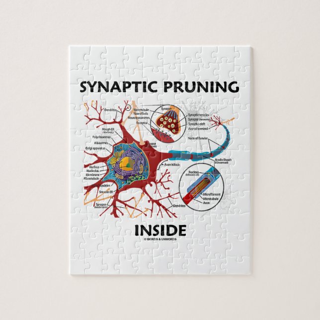 Synaptic Pruning Inside euro Synapse Neurologi Pussel (Vertikal)