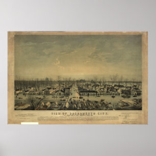 Synar Sacramento Kalifornien fåglar 1850 den Poster