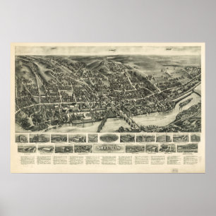 Synar Shelton CT fåglar 1919 den panorama- kartan Poster