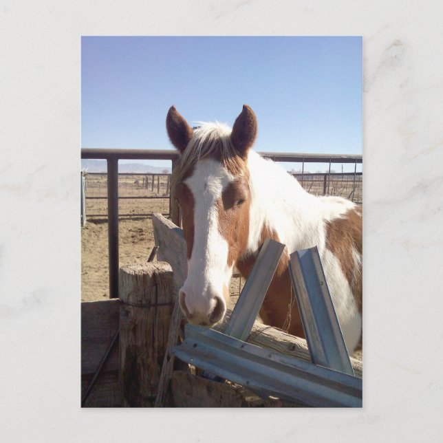 Synat sömnigt målar vykort (Framsida)