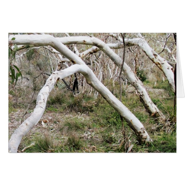 Synchronicity OBS Kort (Framsidan Horizontal)