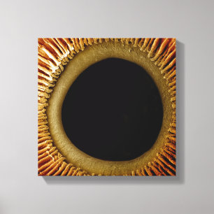 Synen på den inre yta i iris canvastryck