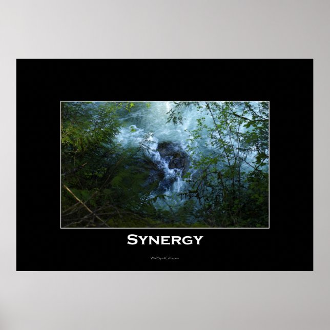 SYNERGY Nature River inspirational Poster (Framsidan)
