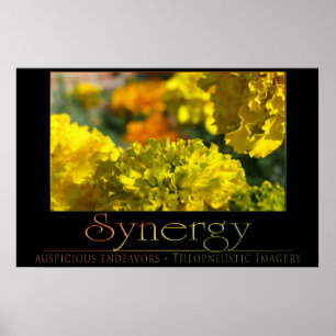 Synergy Poster