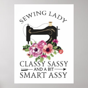 Syning av klass Dam och en bitsmart utrustning Poster