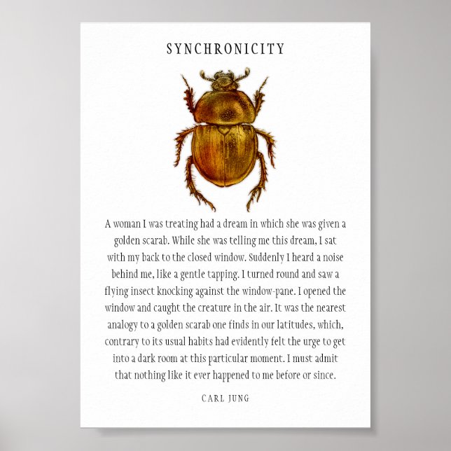 Synkronicitet Scarab Poster (Framsidan)