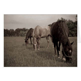 Synkroniserad Munching Hälsningskort