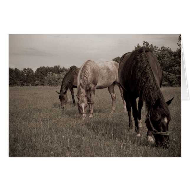 Synkroniserad Munching Hälsningskort (Framsidan Horizontal)