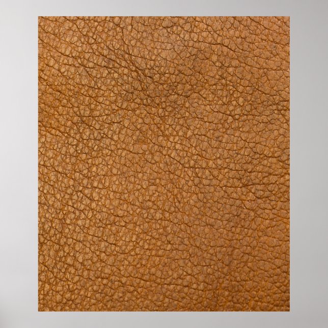 Synligt läderutseende poster (Framsidan)
