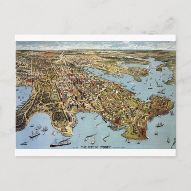 Synney1888 Vykort (Framsida)